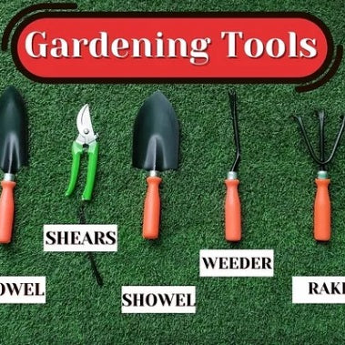 THE BEGINNER’S GUIDE TO GARDENING TOOLS