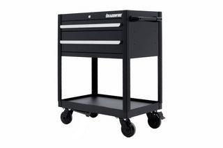 Pro Series 2 Drawer Open Bottom Tool Cart - Dragonfire Tool Storage