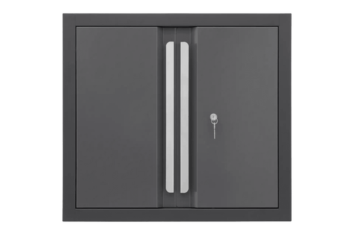 Dragonfire Pro Series Wall Cabinet - Dragonfire Tool Storage