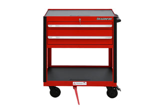 Pro Series 2 Drawer Open Bottom Tool Cart - Dragonfire Tool Storage